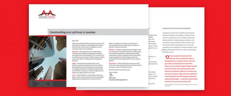 AdineBroshureBanner-1024×427 Adine Abro Attorneys